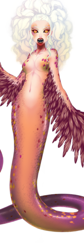 ShyMiko